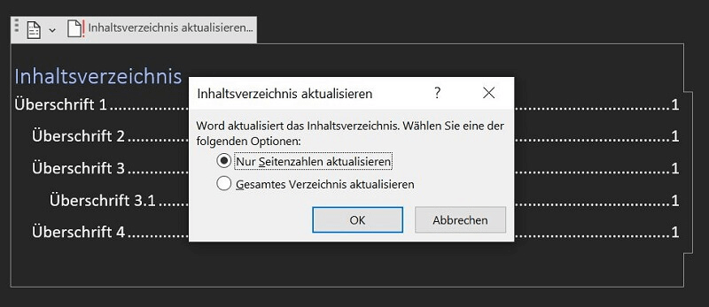 Inhaltsverzeichnis in Word aktualisieren