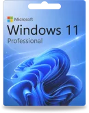 Windows 11 Professional