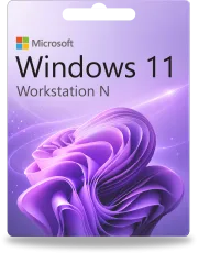 Windows 11 Workstation N
